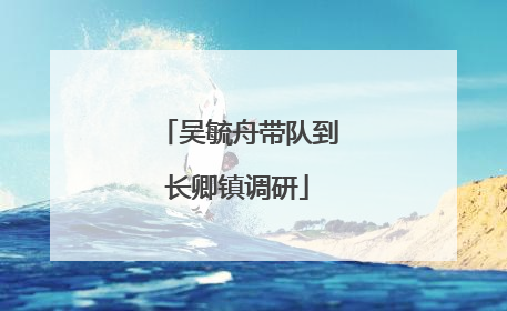 吴毓舟带队到长卿镇调研