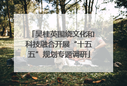 吴桂英围绕文化和科技融合开展“十五五”规划专题调研