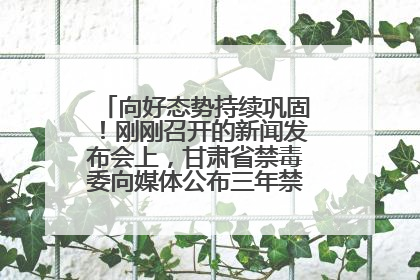 向好态势持续巩固！刚刚召开的新闻发布会上，甘肃省禁毒委向媒体公布三年禁毒工作“成绩单”