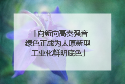 向新向高奏强音 绿色正成为太原新型工业化鲜明底色