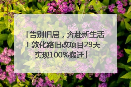 告别旧居，奔赴新生活！敦化路旧改项目29天实现100%搬迁