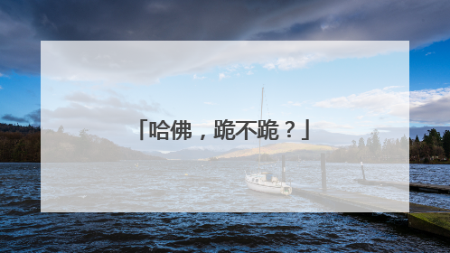 哈佛，跪不跪？