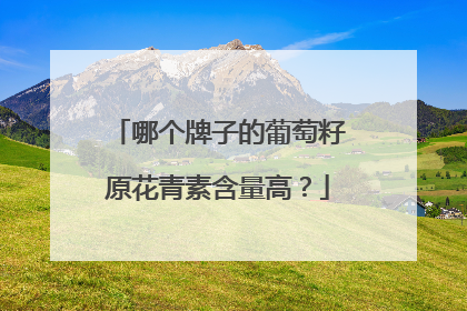 哪个牌子的葡萄籽原花青素含量高？