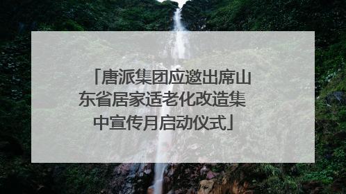 唐派集团应邀出席山东省居家适老化改造集中宣传月启动仪式