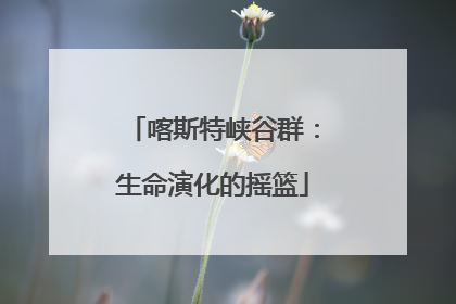 喀斯特峡谷群：生命演化的摇篮