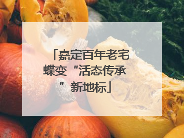 嘉定百年老宅蝶变“活态传承”新地标