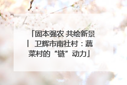 固本强农 共绘新景 ︳卫辉市南社村：蔬菜村的“链”动力