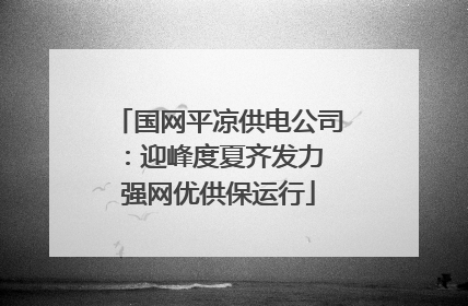 国网平凉供电公司：迎峰度夏齐发力 强网优供保运行