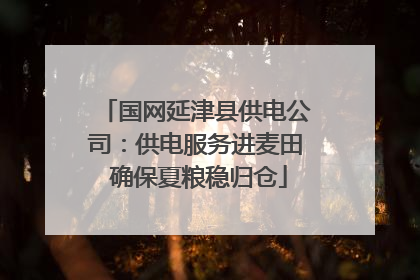 国网延津县供电公司：供电服务进麦田 确保夏粮稳归仓