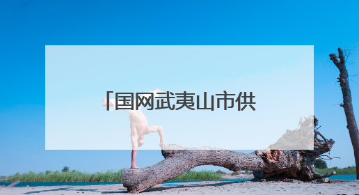 国网武夷山市供电公司：开展世界环境日主题宣传活动守护武夷山生态“高颜值”