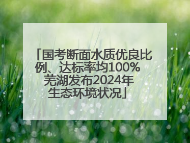 国考断面水质优良比例、达标率均100% 芜湖发布2024年生态环境状况