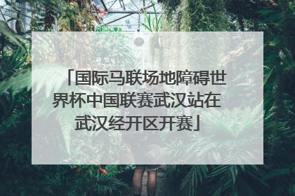国际马联场地障碍世界杯中国联赛武汉站在武汉经开区开赛