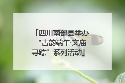 四川南部县举办“古韵端午·文庙寻踪”系列活动