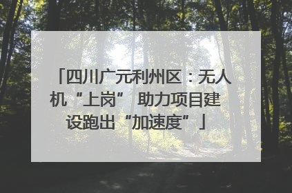 四川广元利州区：无人机“上岗” 助力项目建设跑出“加速度”