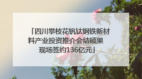 四川攀枝花钒钛钢铁新材料产业投资推介会结硕果 现场签约136亿元