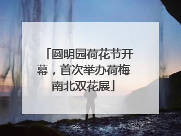 圆明园荷花节开幕，首次举办荷梅南北双花展