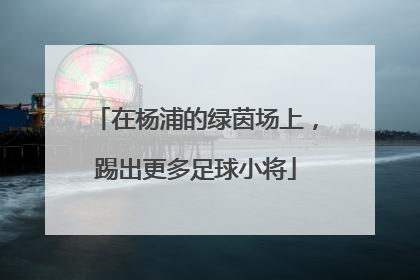 在杨浦的绿茵场上，踢出更多足球小将