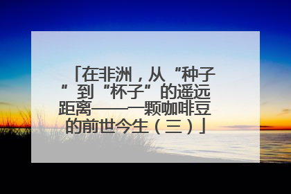 在非洲，从“种子”到“杯子”的遥远距离——一颗咖啡豆的前世今生（三）