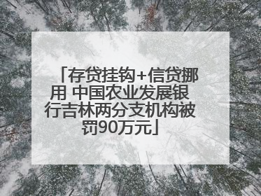 存贷挂钩+信贷挪用 中国农业发展银行吉林两分支机构被罚90万元