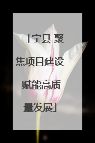 宁县 聚焦项目建设 赋能高质量发展