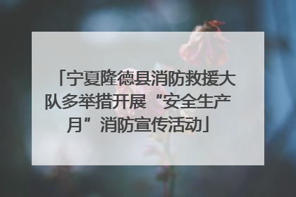 宁夏隆德县消防救援大队多举措开展“安全生产月”消防宣传活动