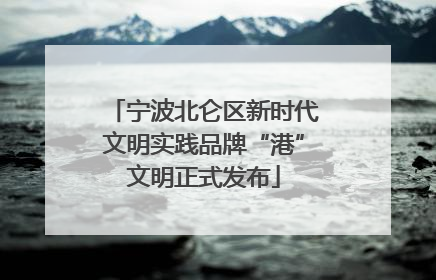宁波北仑区新时代文明实践品牌“港”文明正式发布