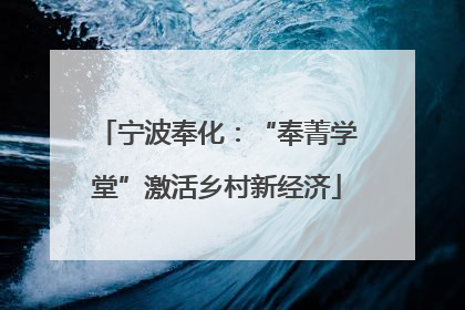 宁波奉化：“奉菁学堂”激活乡村新经济