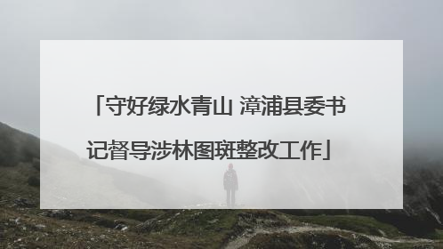 守好绿水青山 漳浦县委书记督导涉林图斑整改工作