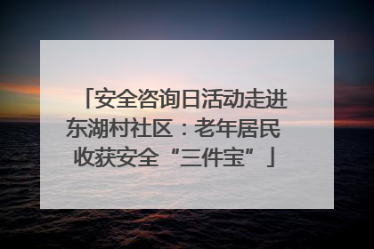 安全咨询日活动走进东湖村社区：老年居民收获安全“三件宝”