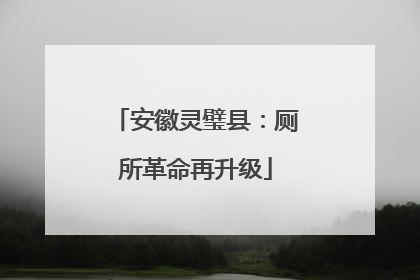 安徽灵璧县：厕所革命再升级