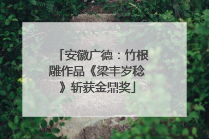 安徽广德：竹根雕作品《梁丰岁稔》斩获金鼎奖