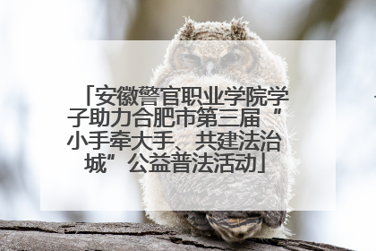 安徽警官职业学院学子助力合肥市第三届“小手牵大手、共建法治城”公益普法活动