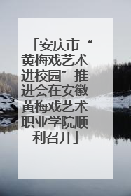 安庆市“黄梅戏艺术进校园”推进会在安徽黄梅戏艺术职业学院顺利召开