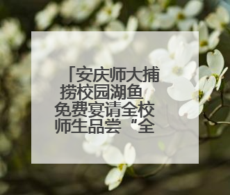 安庆师大捕捞校园湖鱼 免费宴请全校师生品尝“全鱼宴”