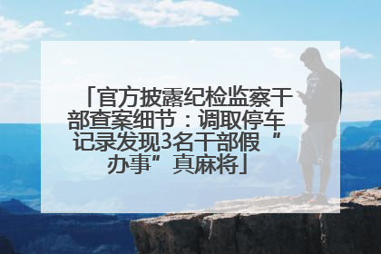 官方披露纪检监察干部查案细节：调取停车记录发现3名干部假“办事”真麻将