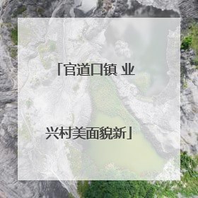 官道口镇 业兴村美面貌新