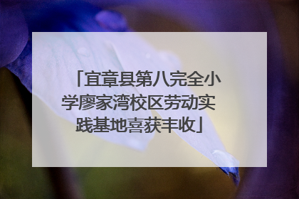 宜章县第八完全小学廖家湾校区劳动实践基地喜获丰收
