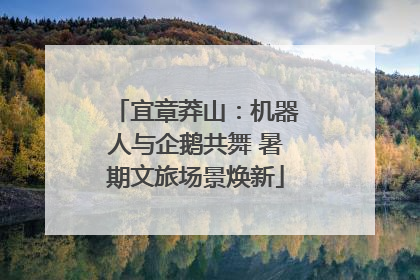 宜章莽山：机器人与企鹅共舞 暑期文旅场景焕新