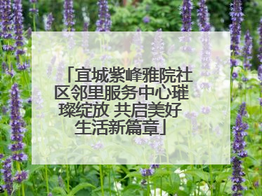 宜城紫峰雅院社区邻里服务中心璀璨绽放 共启美好生活新篇章