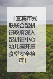 宜宾市残联联合留耕镇政府深入留耕镇中心幼儿园开展食堂安全检查