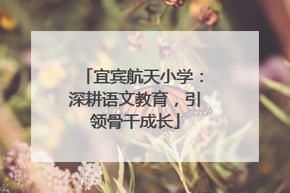 宜宾航天小学：深耕语文教育，引领骨干成长