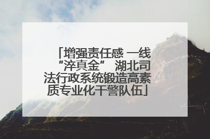 增强责任感 一线“淬真金” 湖北司法行政系统锻造高素质专业化干警队伍