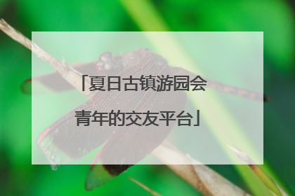 夏日古镇游园会 青年的交友平台