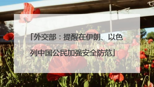 外交部：提醒在伊朗、以色列中国公民加强安全防范