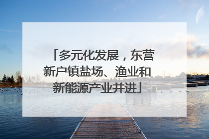 多元化发展，东营新户镇盐场、渔业和新能源产业并进