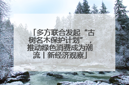多方联合发起“古树名木保护计划”，推动绿色消费成为潮流丨新经济观察