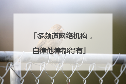多频道网络机构，自律他律都得有