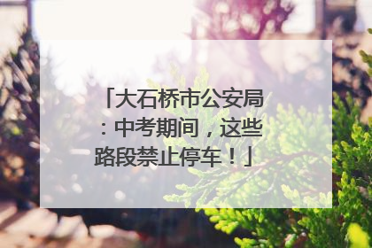 大石桥市公安局：中考期间，这些路段禁止停车！