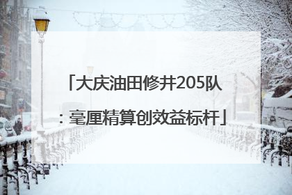 大庆油田修井205队：毫厘精算创效益标杆