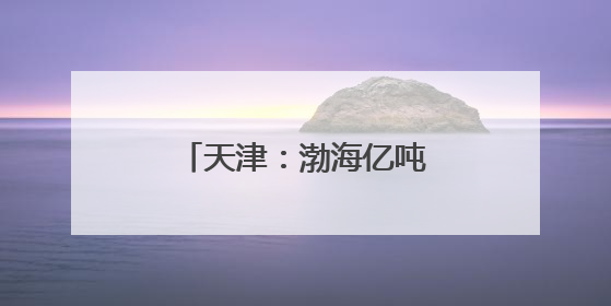 天津：渤海亿吨级油田海上平台陆地建造工作收官